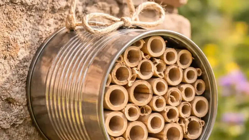 DIY Mini-Insektenhotel aus einer Konservendose, befüllt mit Bambusröhrchen und mit Schnur an einer Gartenwand aufgehängt, im natürlichen Tageslicht.