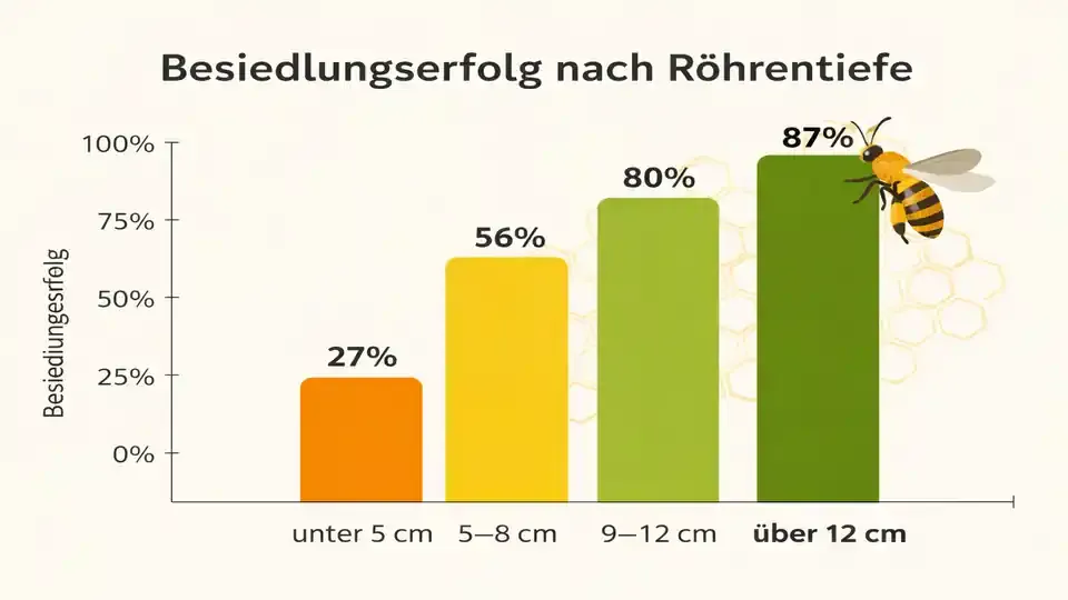 Infografik zum Besiedlungserfolg von Insektenhotels nach Röhrentiefe: unter 5 cm geringer Erfolg, 5–8 cm mittlerer Erfolg, 9–12 cm hoher Erfolg, über 12 cm sehr hoher Besiedlungserfolg.